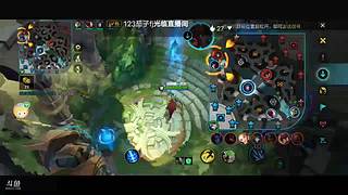 国服第一辅助寒冰