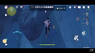 随随便便玩玩 11411769