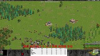 罗马复兴色军的直播间