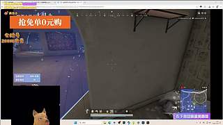 【小白鸽】睡不醒的猪来了