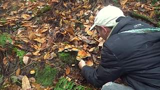 乡土记食的直播间