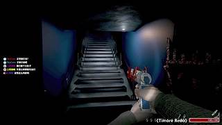 【炸毛张】恐怖游戏开荒~~