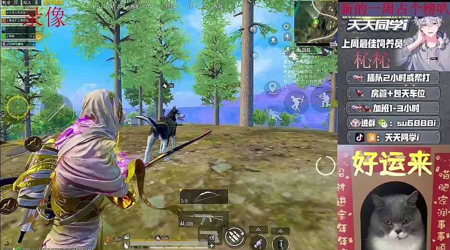 靓仔带粉/帮打。带你快乐