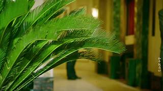 【饭店】我们把装蒜当美学来修炼的