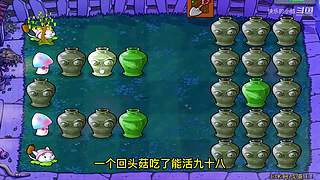 宝子们，开席了！