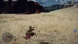 《红色沙漠》!~~