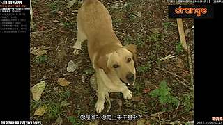 ─「 橙記 最人气看剧间 」─