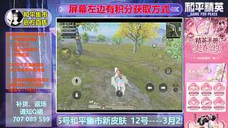 和平集市、精英手册