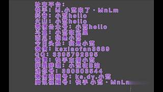 游乐园实况录像