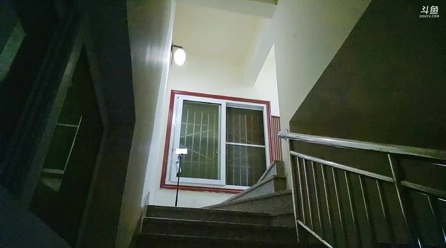 我豆罐逗豆是帅锅【白银双倍】