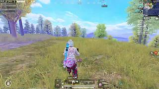 和平精英哇哇狗分