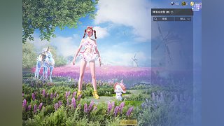 布偶雪的直播间