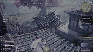 坑死队友 不偿命