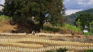 滇西小哥的美食视频