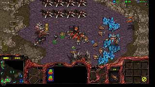 mtn猴子星际争霸