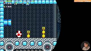 我可能玩了假的马里奥