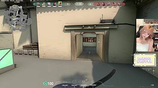 M77：小喵护航出击！