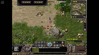 端游千年3官服 58区 免费区 无礼包