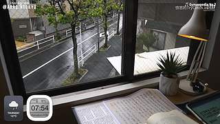 重生之奋发涂墙