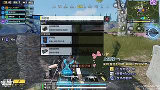 国服第一AKS大师小菜鸡