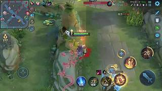 我是小菜鸟 12310282