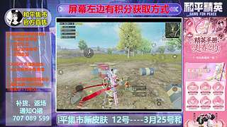 和平集市、精英手册