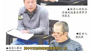 扑朔迷离的案件里隐藏着什么？