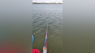 亮gnailux的直播间