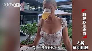 魏蜀吴群雄争霸，发弹幕加入国战