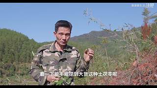 娱乐大于一切 10440627