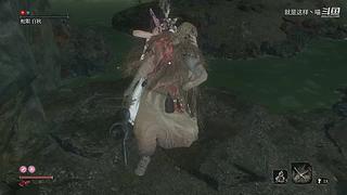 萌新菜菜，大佬带带