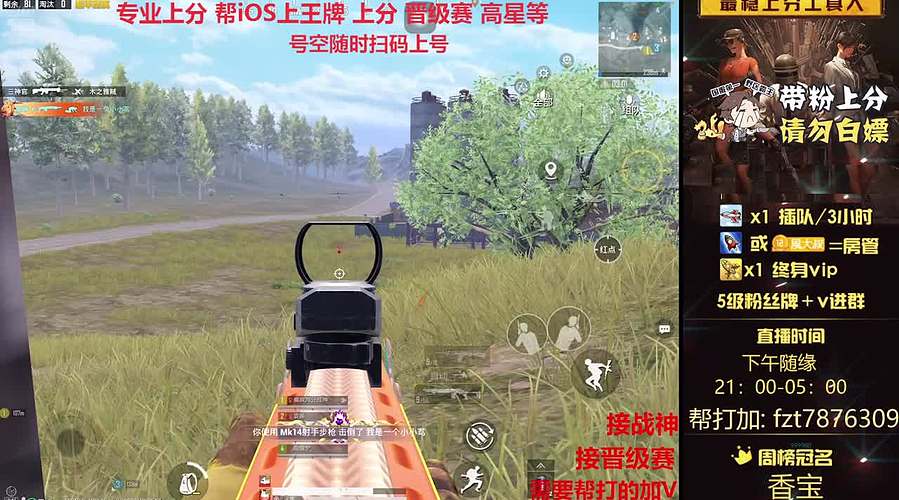 【帮打ios】通宵带粉上分/晋级赛