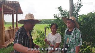 你的海南军阀给你带来最地道的赶海