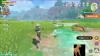 【小白鸽】玩洛克王国 下午去医院啦