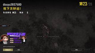 （小奶团）4星还差4驾飞机