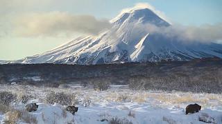 [大自然纪录片]24小时轮播