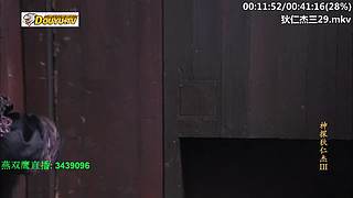 元芳到底看不看