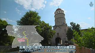 猫步走世界，萌宠24小时轮播