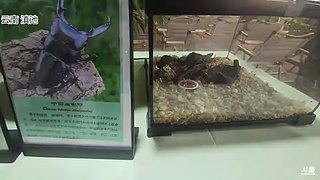 彩云之南，大美昆明！冲冲冲