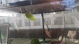 彩云之南，大美昆明！冲冲冲