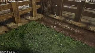 电影级画质，失眠者福音~