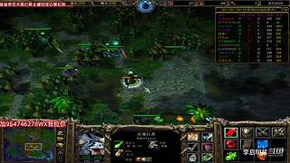 魔兽达尔文进化岛直播间