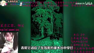 奶喵喵超级无敌白OvO