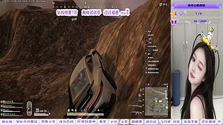 粉丝节活动打打卡