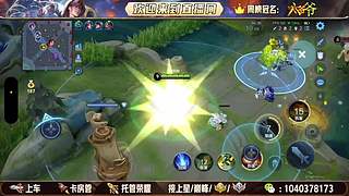 08天才打野 帮打上车 空闲