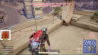 周末快乐呀~宝宝