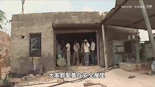 LOLM春风扶杨柳，敢问是段友