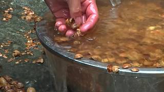 乡土记食的直播间