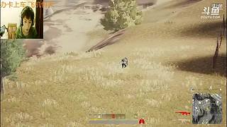 观察黄金仔日常