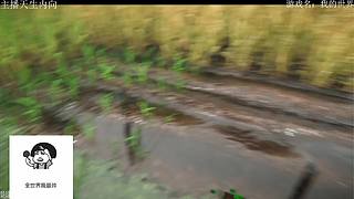 电影级画质，失眠者福音~